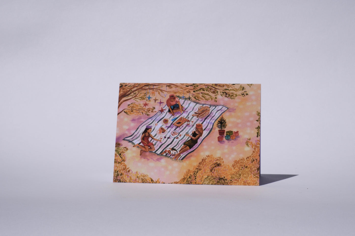 Christmas Summer picnic